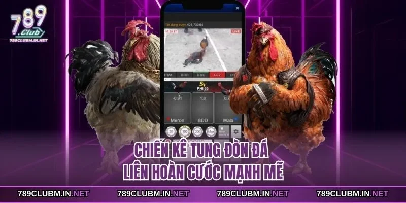 chien-ke-tung-don-da-lien-hoan-cuoc-manh-me