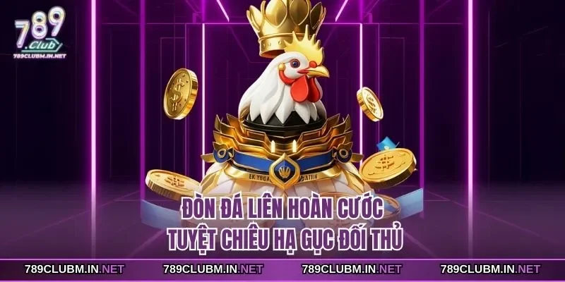 don-da-lien-hoan-cuoc-tuyet-chieu-ha-guc-doi-thu