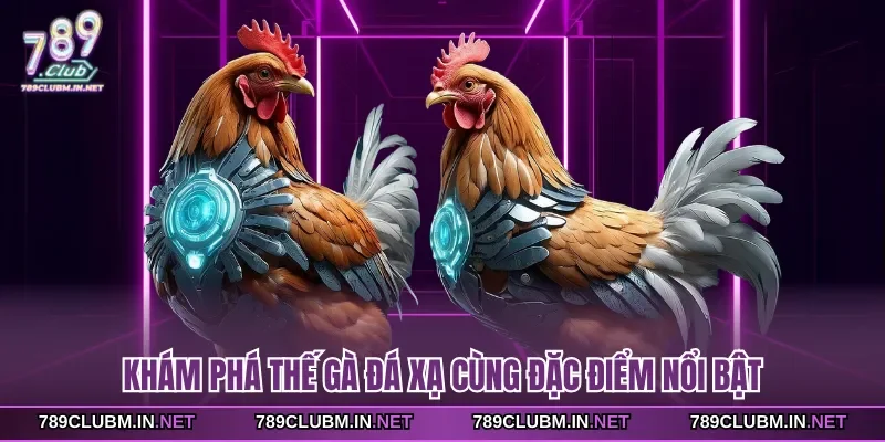 kham-pha-the-ga-da-xa-cung-dac-diem-noi-bat