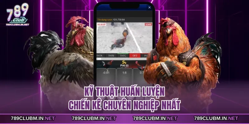ky-thuat-huan-luyen-chien-ke-chuyen-nghiep-nhat