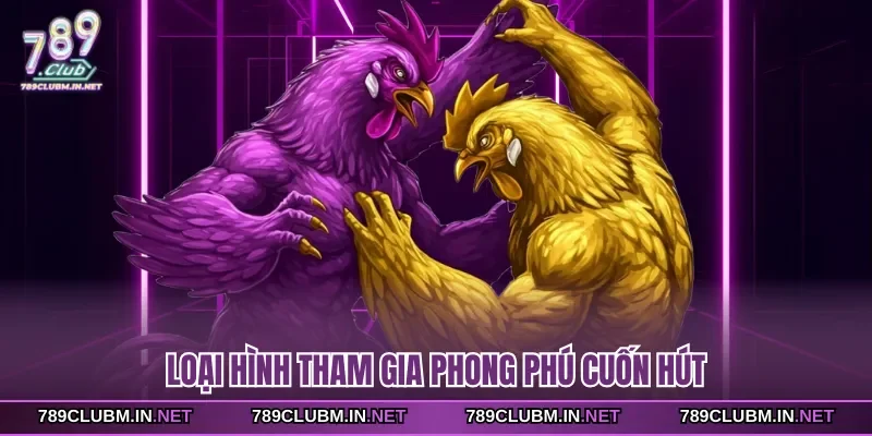 loai-hinh-tham-gia-phong-phu-cuon-hut