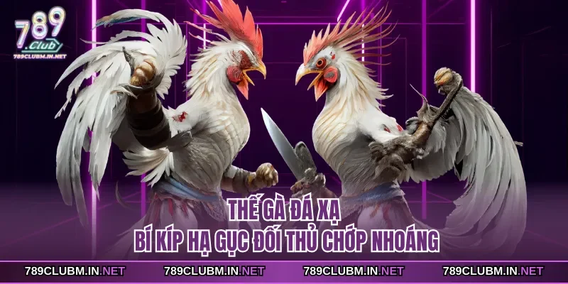 the-ga-da-xa-bi-kip-ha-guc-doi-thu-chop-nhoang