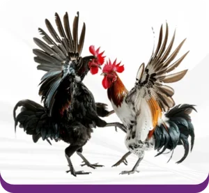 tro-choi-da-ga-789club